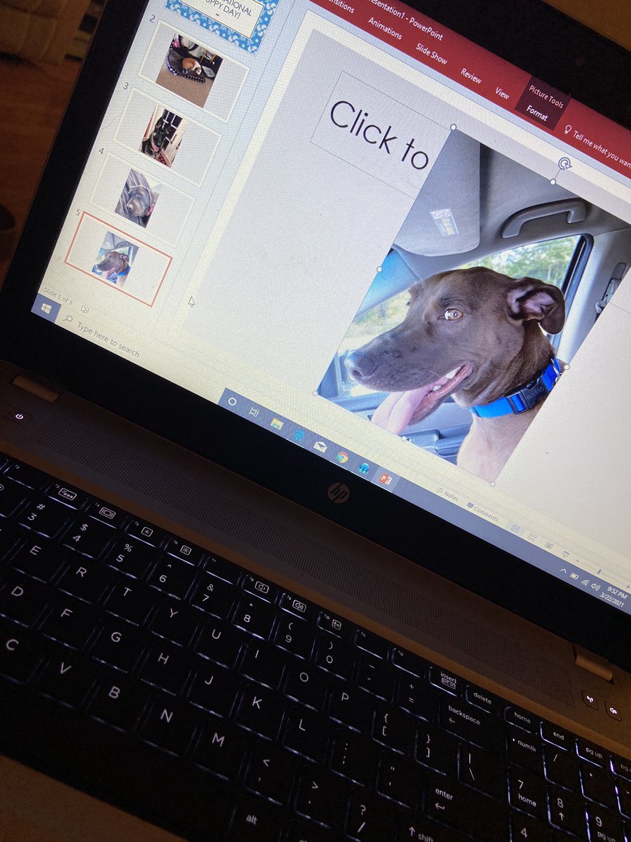 Kristen Bilodeau tweet media