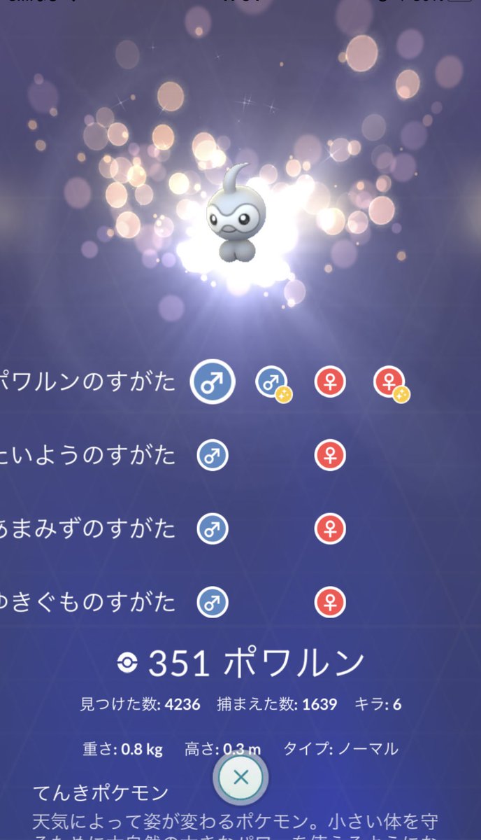 ウッキー プラチナメダル50個 色違いポワルン あまみずのすがた Getだぜ W 図鑑に出ないけどなんで ウッキー プラチナメダル50個 色違いポワルン あまみずのすがた Getだぜ W 図鑑に出ないけどなんで