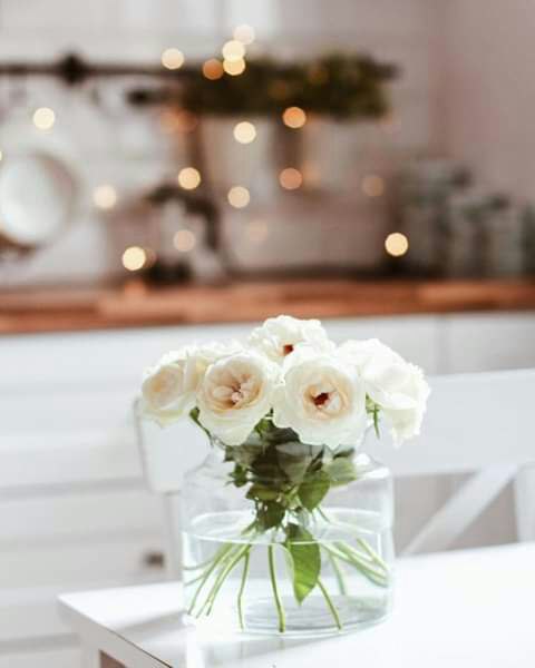 ❃❥,,,,,

طالما أن القادم في غيب الله ، فتصوره جميلاً ، يارب إليك كل السبل 
ومنك كل الحلول ، ولك كل الحمد  على ما كان وما سيكون .. 

#يارب.
#صباح_الخير

          ┄༻💗༺┄