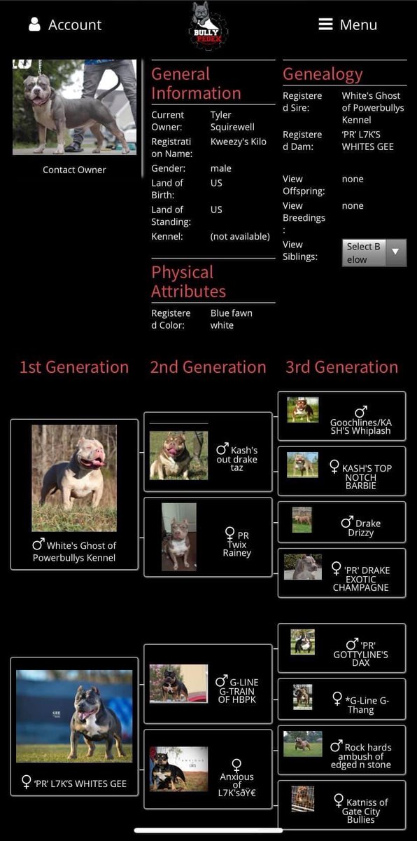 _kwon's tweet photo. π€§π¦
I got one of the baddest dogs in Raleigh π«π§’ !
-KILO
CH TAZ/ GRCH GTRAIN GRANDSON
#Bully #TriBully #BullyPedex #BullyMagazine #AbkcWorldWide #Abkc #AbkcRegistered #UkcRegistered #Ukc #NorthCarolina #Raleigh #Daxline #PocketBully #BullyWorld #DolomiteBullykennel https://t.co/noPrPQM4G5