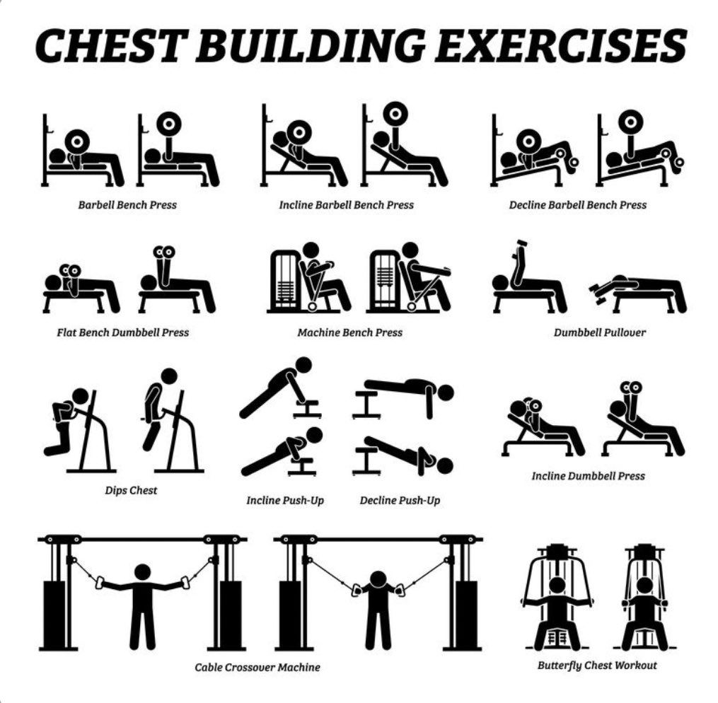 Building your chest takes consistent work, and a variety of exercises. Give some of the workouts from this chart a try❗️🏋🏻‍♂️🔥 * * * #F4L #fitfam #fitness #health #exercise #training #motivation #workout #Tuesday #muscle #fitspo #weightlifting #weightlossjourney #gym #inspiration