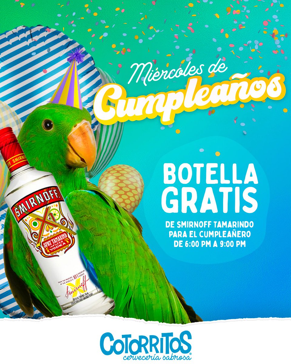 Cotorritos Cotorritosmx Twitter Cotorritos Cotorritosmx Twitter