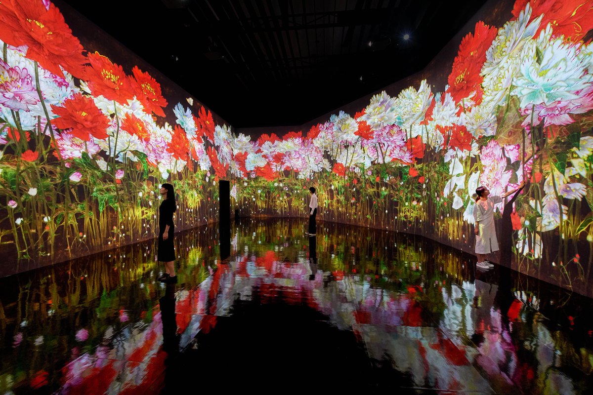 teamLab_net's tweet photo. “teamLab: LIFE” at the DDP in Seoul has been extended to August 22 due to high demand. The exhibition transforms the DDP into an immersive, interactive space where visitors can contemplate the continuity between themselves and the world.
https://t.co/BEI0CW8T0y
#teamLabLIFE https://t.co/AK7AFn9D0T
