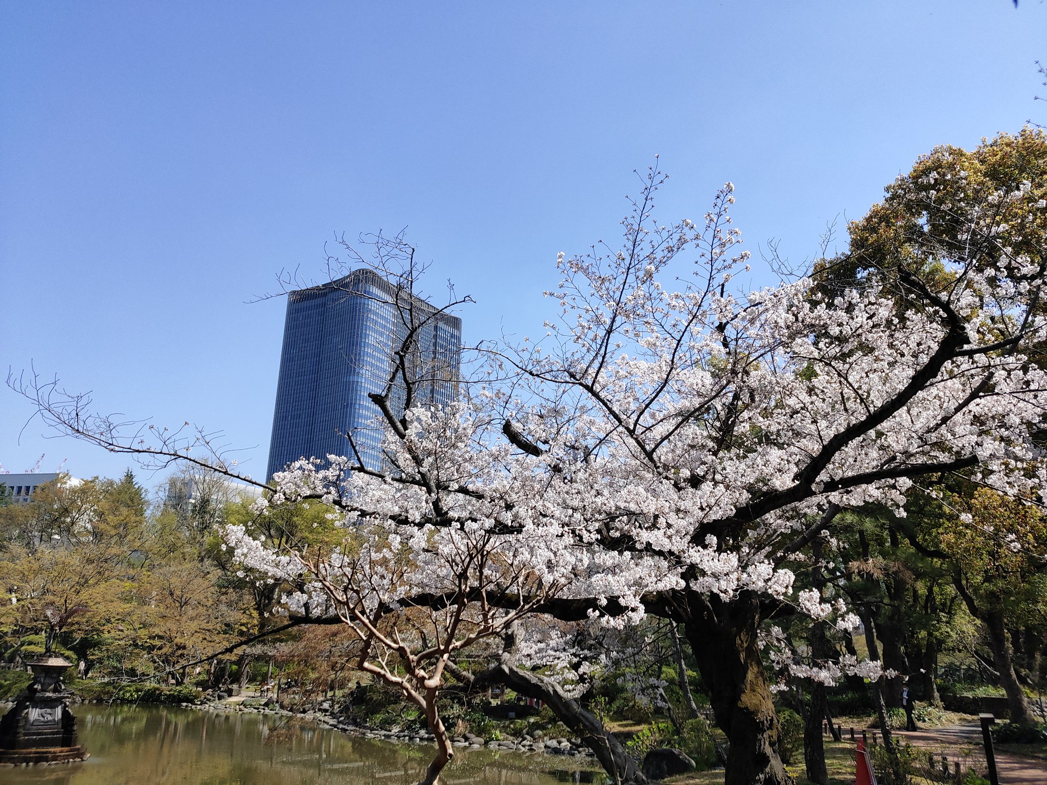 ノリ ふらっと日比谷公園で桜を見てきました 今日は天気も良いので 見ごたえがありました 午後も頑張ります 桜 花見 日比谷公園 T Co 2lu1eq0zgc Twitter ノリ ふらっと日比谷公園で桜を見てきました 今日は天気も良いので 見ごたえがありました 午後も頑張ります 桜 花見 日比谷公園 T Co 2lu1eq0zgc Twitter