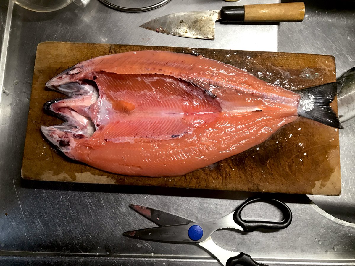 函館くま屋 避難所 くま屋 サクラマス 入荷しました 今日はサクラマス のちゃんちゃん焼きになります 函館くま屋 避難所 くま屋 サクラマス 入荷しました 今日はサクラマス のちゃんちゃん焼きになります