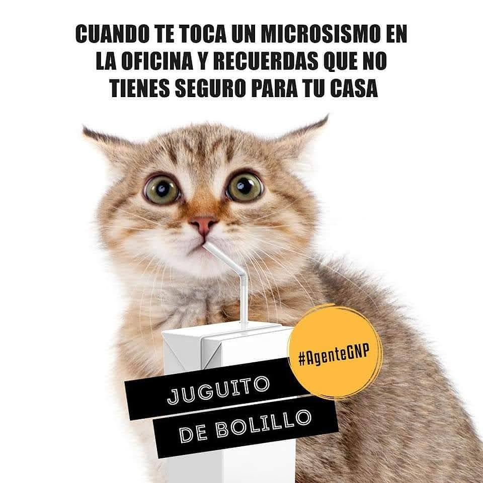 Luis Padilla tweet media