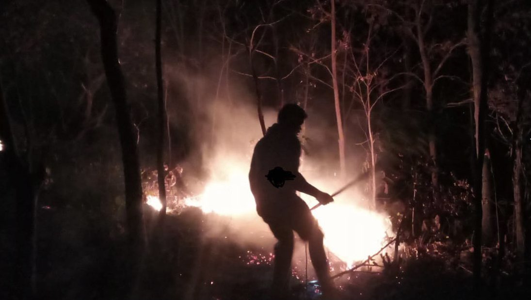 ranjeetIFS's tweet photo. Green soldiers - guarding forest 24/7 from fires - Quick response teams battling fire on a hillock in Telangana. https://t.co/C55vSOBM4W