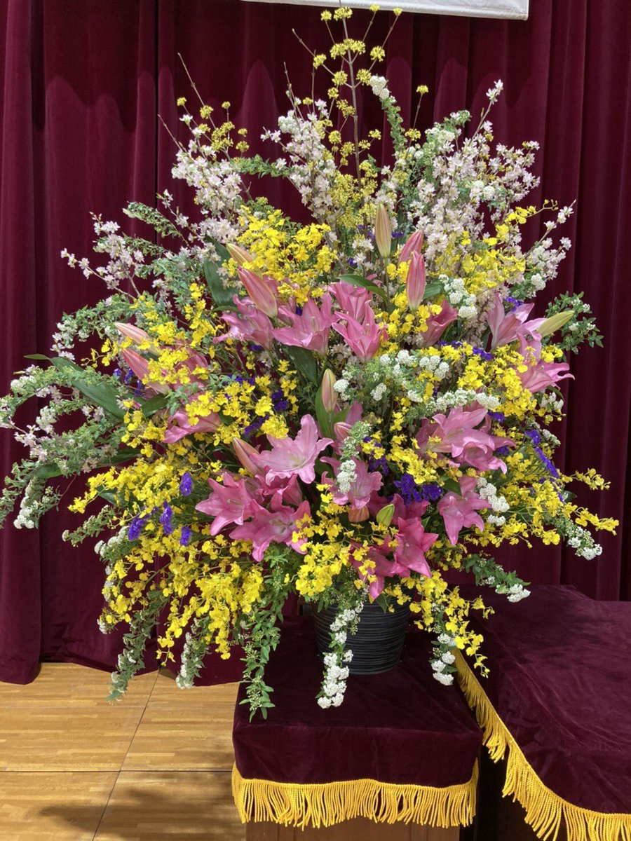 演台花 演台花