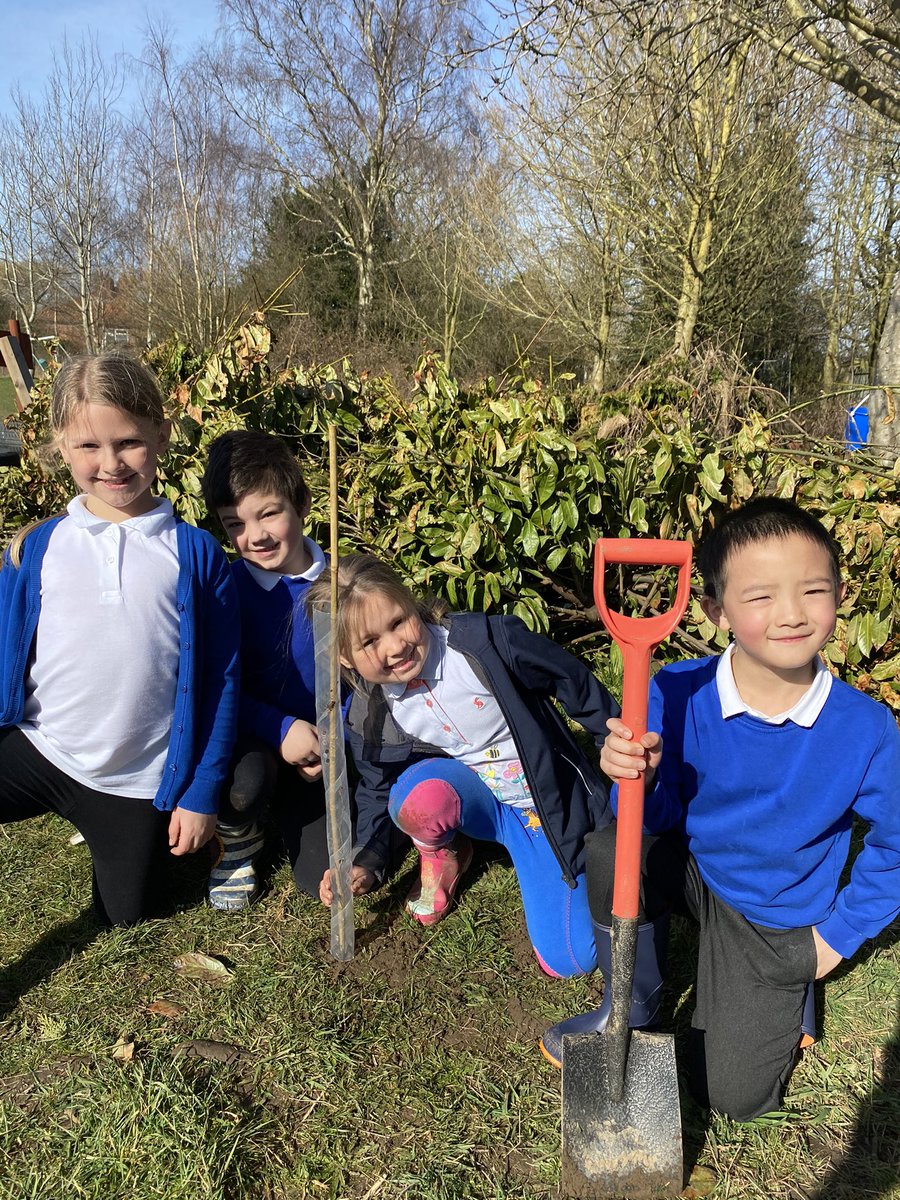 TAS4L's tweet photo. How many tress do we loose as a planet each day ? Thousands ? Well yesterday we regained just a little by people who are little! #treeplanting @WoodlandTrust #FishburnPrimary 
[ pics cleared / kids in bubble] https://t.co/7TVWjyPW3J
