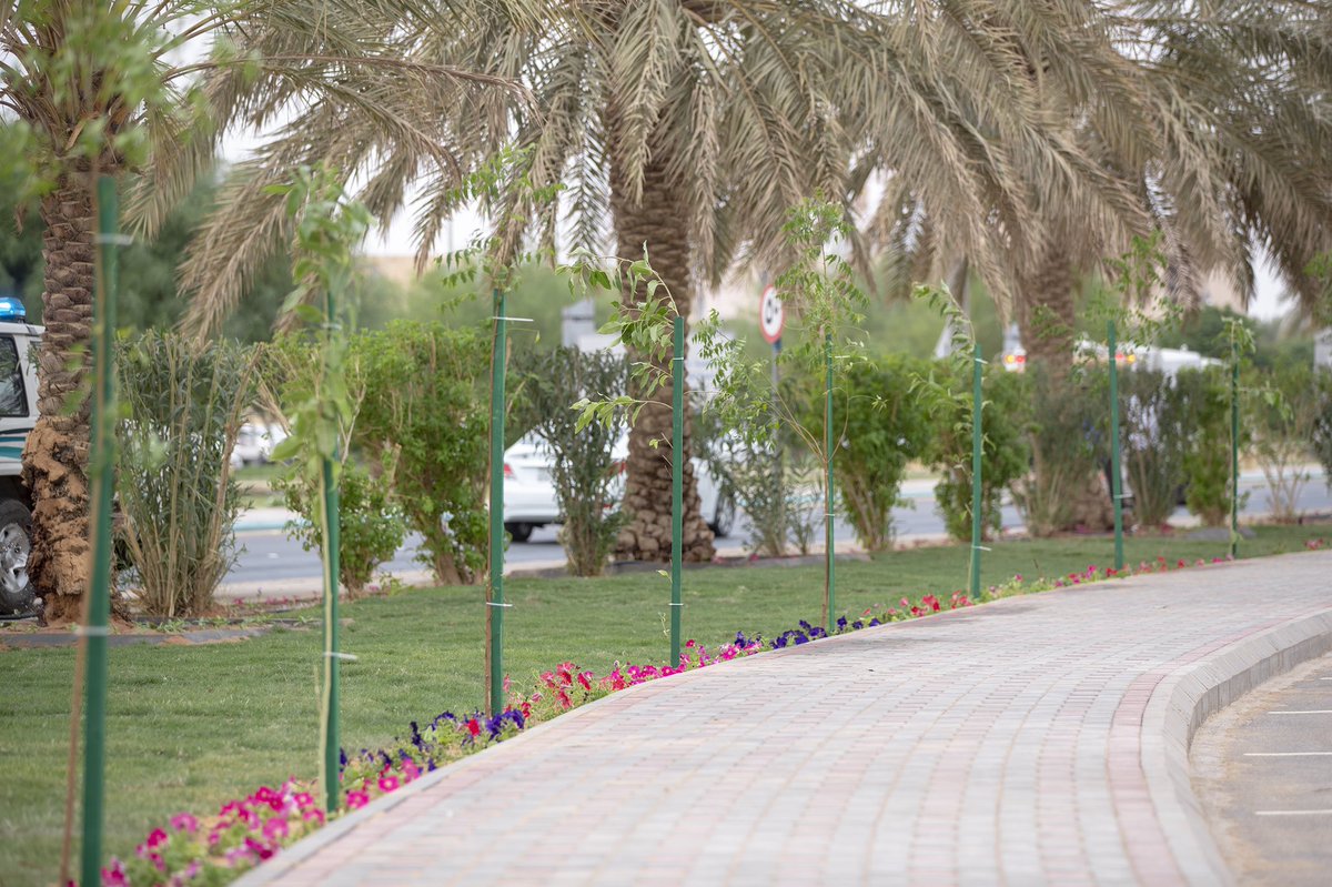 qunewspaper's tweet photo. على مدى 30 يومًا.. #جامعة_القصيم تستهدف زراعة 10 آلاف شتلة خلال مشاركتها في المرحلة السابعة من حملة #أرض_القصيم_خضراء

- https://t.co/9u6fcFb7un https://t.co/CbfV5q7CQZ