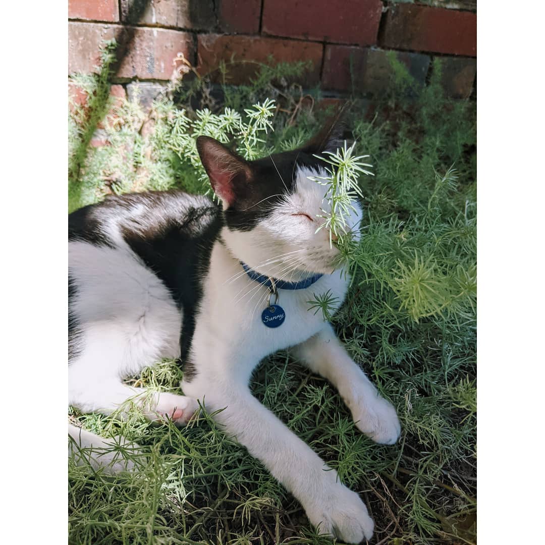 Justine Landis-Hanley tweet media