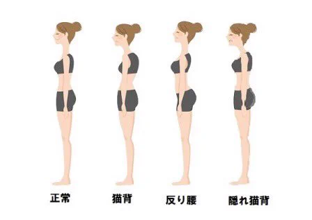 巻き肩を治したいなら逆腕立て伏せ！鎖骨が出やすくなり一石二鳥！