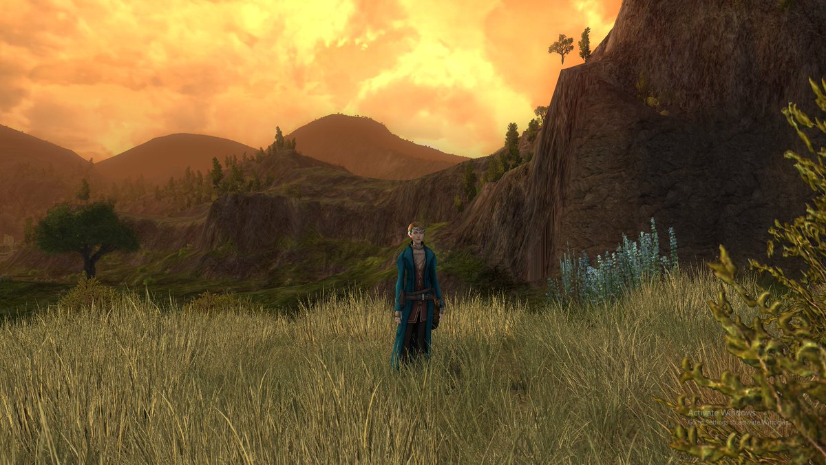 hlburkewriter's tweet photo. #LOTRO #ElfUpdate enjoying the scenery tonight https://t.co/aoKJMa4xS8