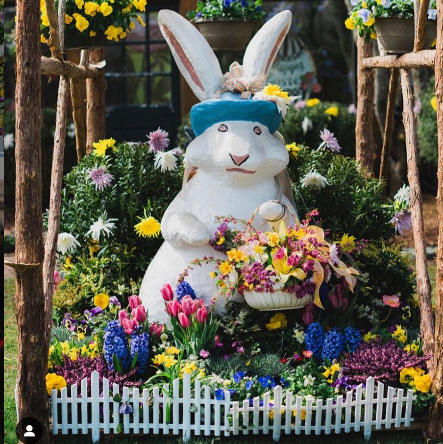 BluewaveBodyCo's tweet photo. Our favorite #bluewavebeauty bunny is back @donaromasmv. What's your favorite thing to see this time of year? https://t.co/YZ34v3Cvtt
