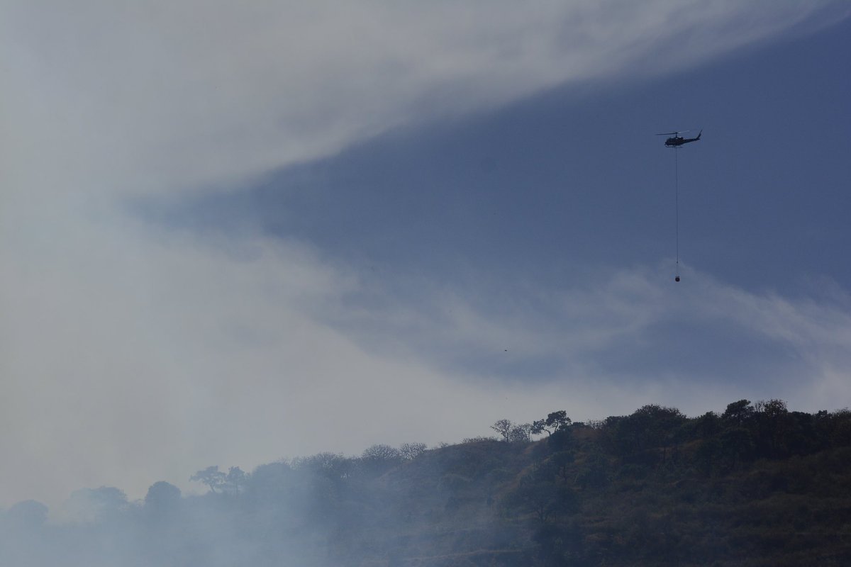 SemadetJal's tweet photo. #Actualización 

Se reporta liquidado #IncendioForestal en el paraje Cerro del Colli, municipio de #Zapopan, dentro del ANP Bosque La Primavera. 

Combatieron en total 133 elementos de diferentes brigadas de los 3 niveles de gobierno y apoyo aéreo de #Witari y #Tláloc. https://t.co/aJPLB99LU5