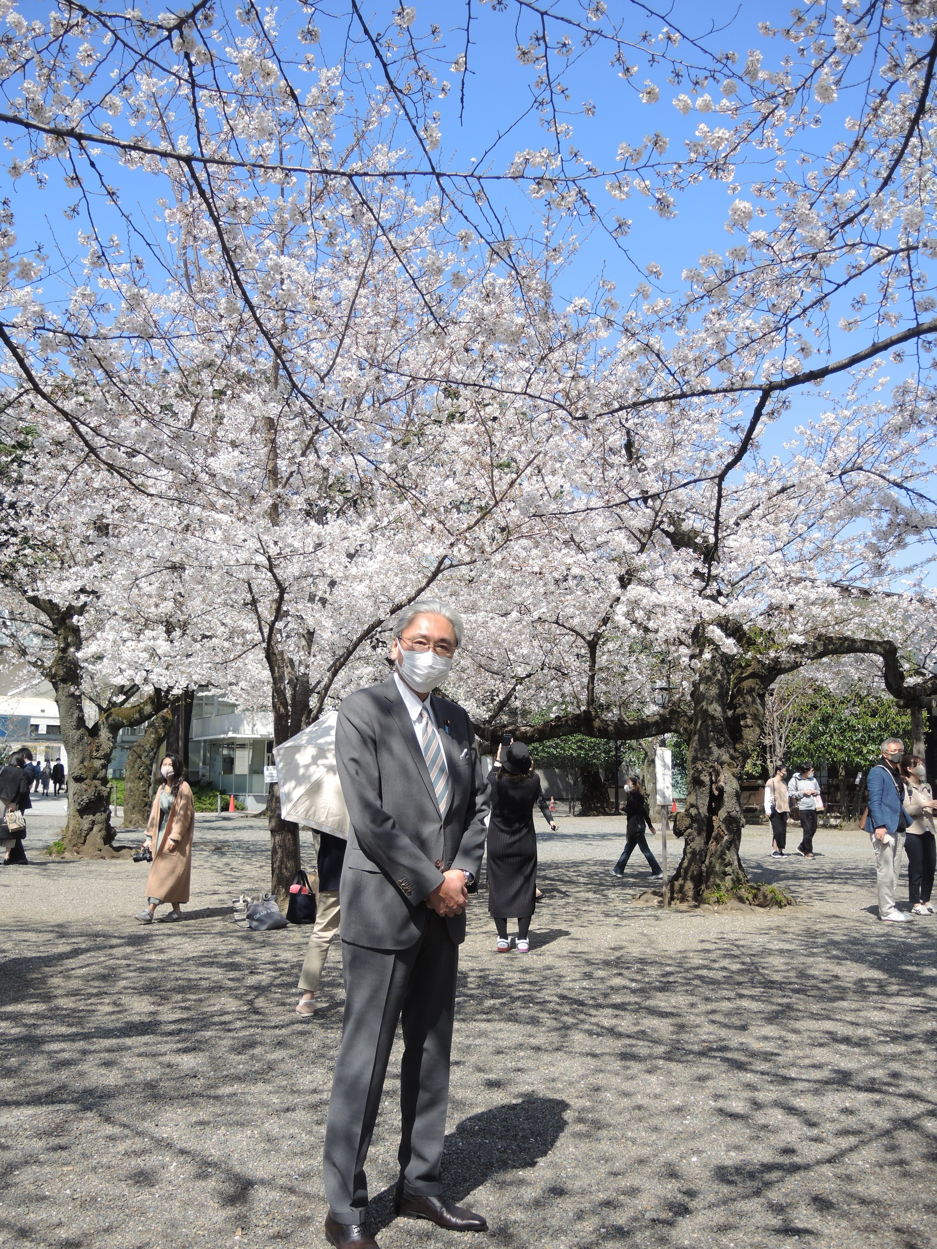 古屋圭司 桜満開の靖国神社 今日参拝して参りました 私は春 秋 夏の御霊祭り 8月15日は基本的に参拝しています 合掌 T Co Wnmcxnhbcx Twitter