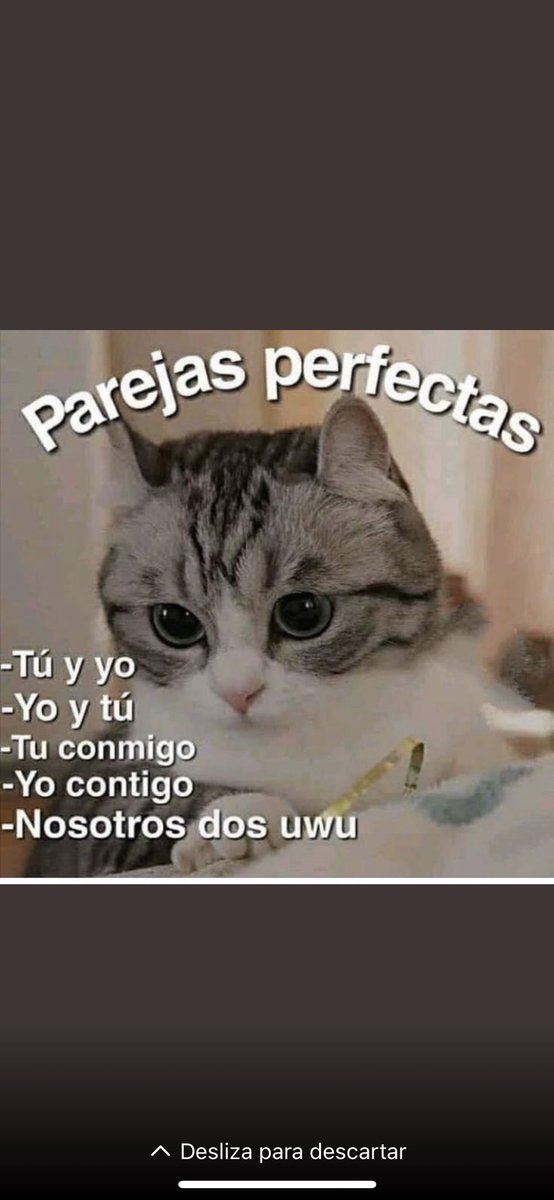 amanda_yerb tweet media