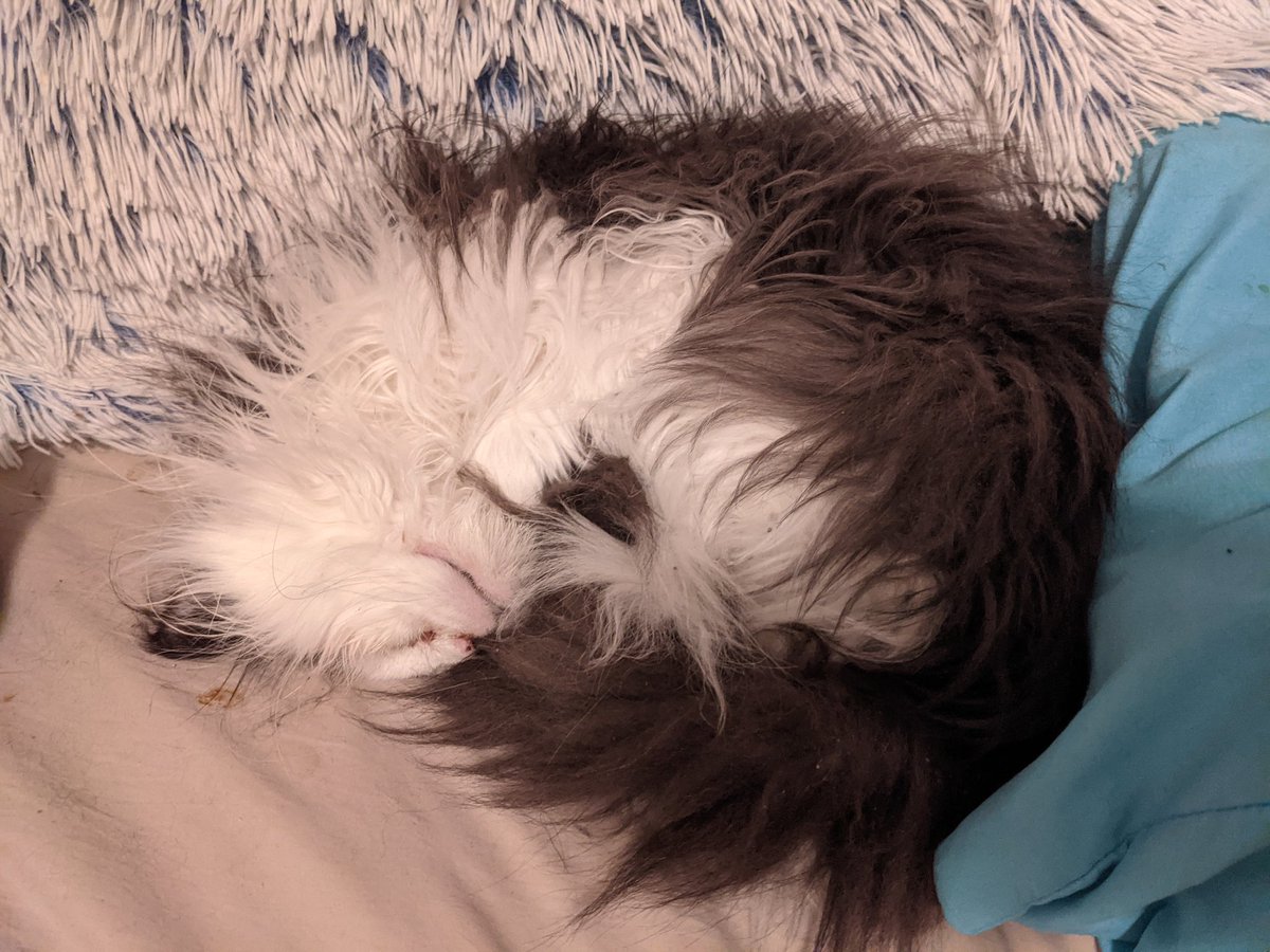 Sleepby ,,, man 💤💤💤