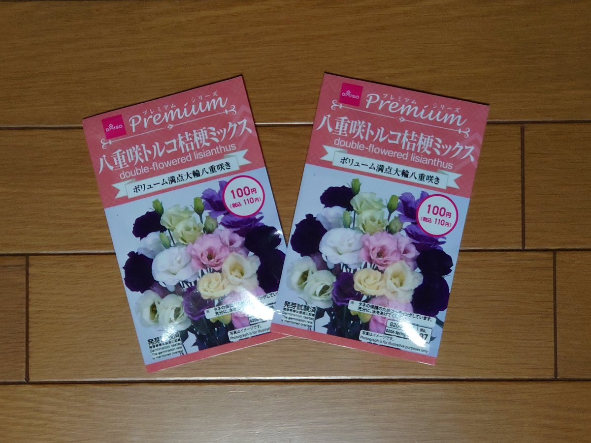 Yamato 種を買いました トルコ桔梗 今年も咲いてくれるかな Daiso トルコ桔梗 Yamato 種を買いました トルコ桔梗 今年も咲いてくれるかな Daiso トルコ桔梗