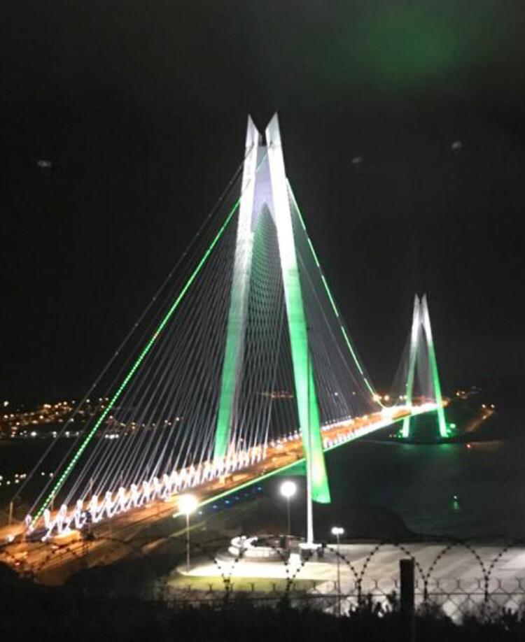 ElifAhmetTurkey's tweet photo. Istanbul Lightened in Pakistan Flag Colors on #PakistanResolutionDay.
Brotherhood 🇹🇷🇵🇰💓 https://t.co/7v8b1Izzam