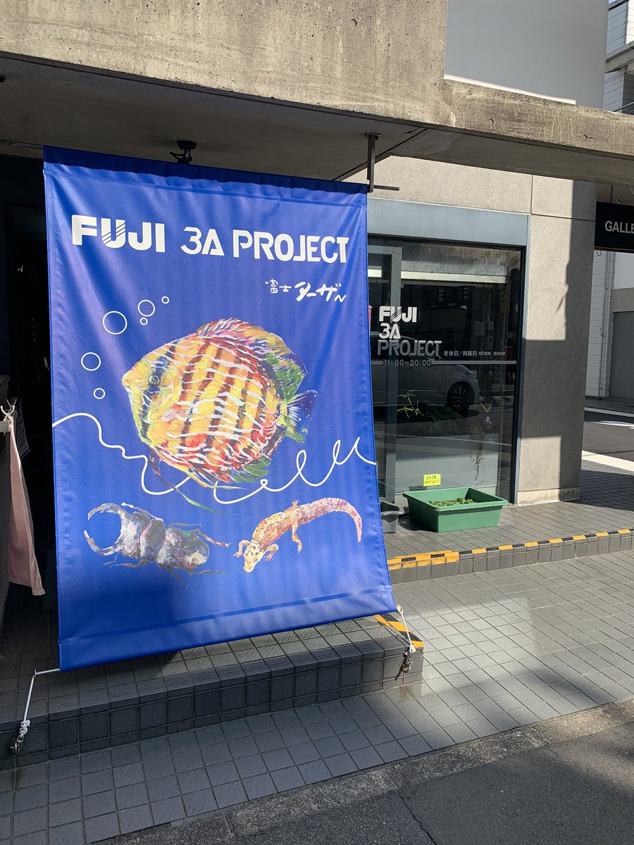 おにぎり 名古屋瑞穂区にある Fuji 3a Project Fujiターザンさんに 来ました 店内に入ってびっくり 地下があるでは無いですか しかも地下の階段の上にも水槽 すげーwww Fuji3aprojectfujiターザン 熱帯魚 熱帯魚ショップ T Co
