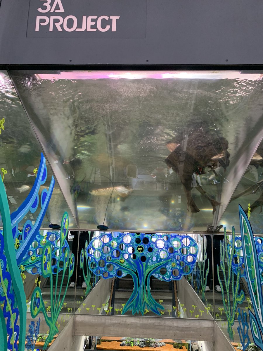 おにぎり 名古屋瑞穂区にある Fuji 3a Project Fujiターザンさんに 来ました 店内に入ってびっくり 地下があるでは無いですか しかも地下の階段の上にも水槽 すげーwww Fuji3aprojectfujiターザン 熱帯魚 熱帯魚ショップ T Co