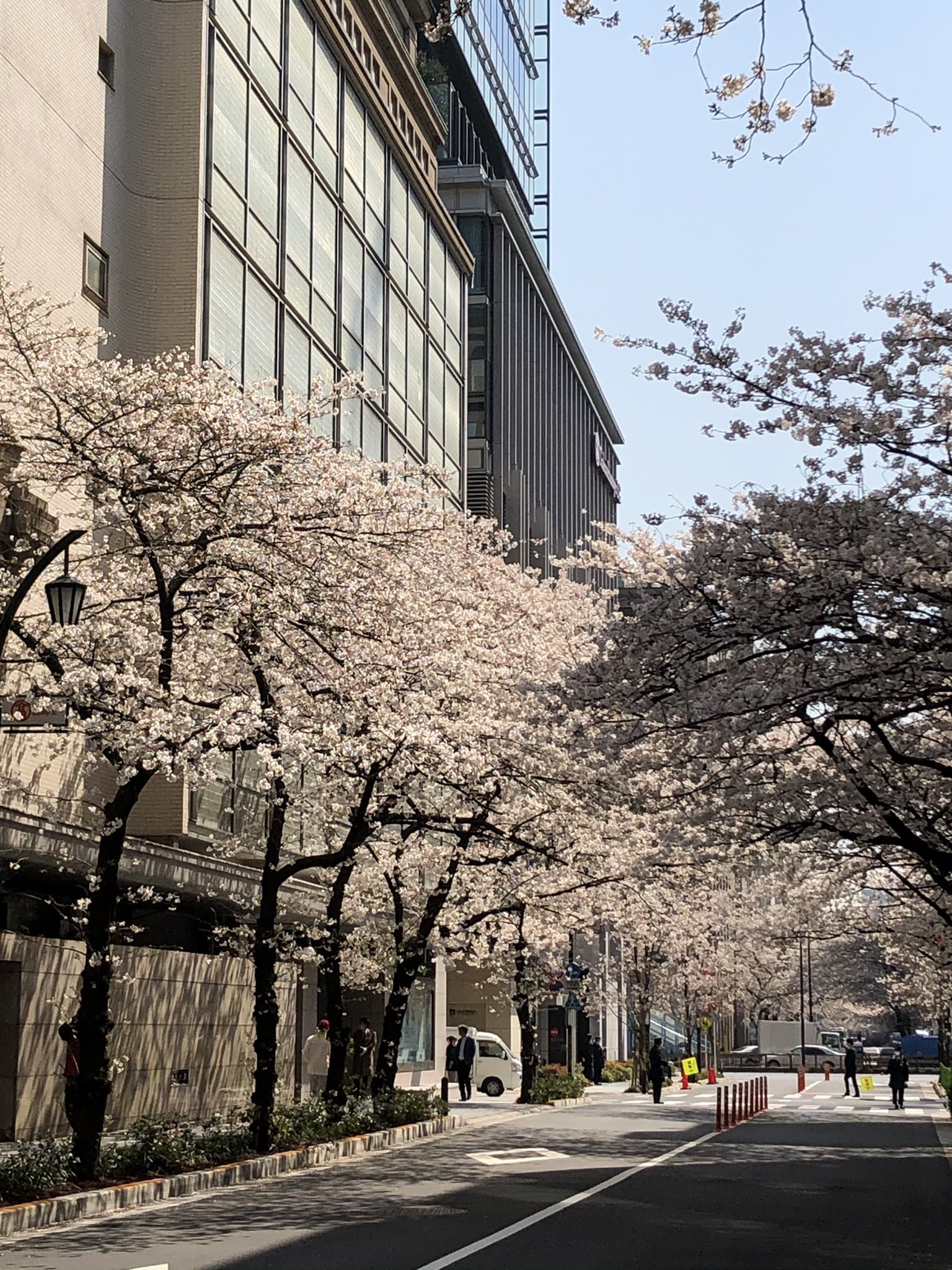 高島屋史料館TOKYO on X: 高島屋史料館TOKYO on X: