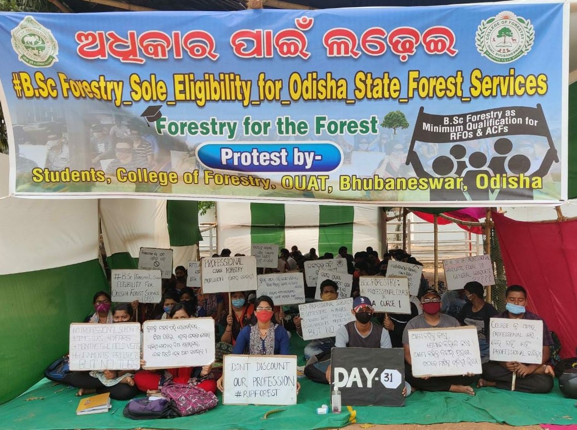 IshikarajD's tweet photo. Day -31 #BSc_Forestry_Sole_Eligibility_for_Odisha_State_Forest_Services
@Naveen_Odisha @CMO_Odisha @BKArukha @dr_arunsahoo @SecyChief @MoSarkar5T @PrakashJavdekar @sandeepifs @ForestDeptt @pccfodisha @ifs_odisha @AprajitaSarangi https://t.co/KgxNbYtZcq