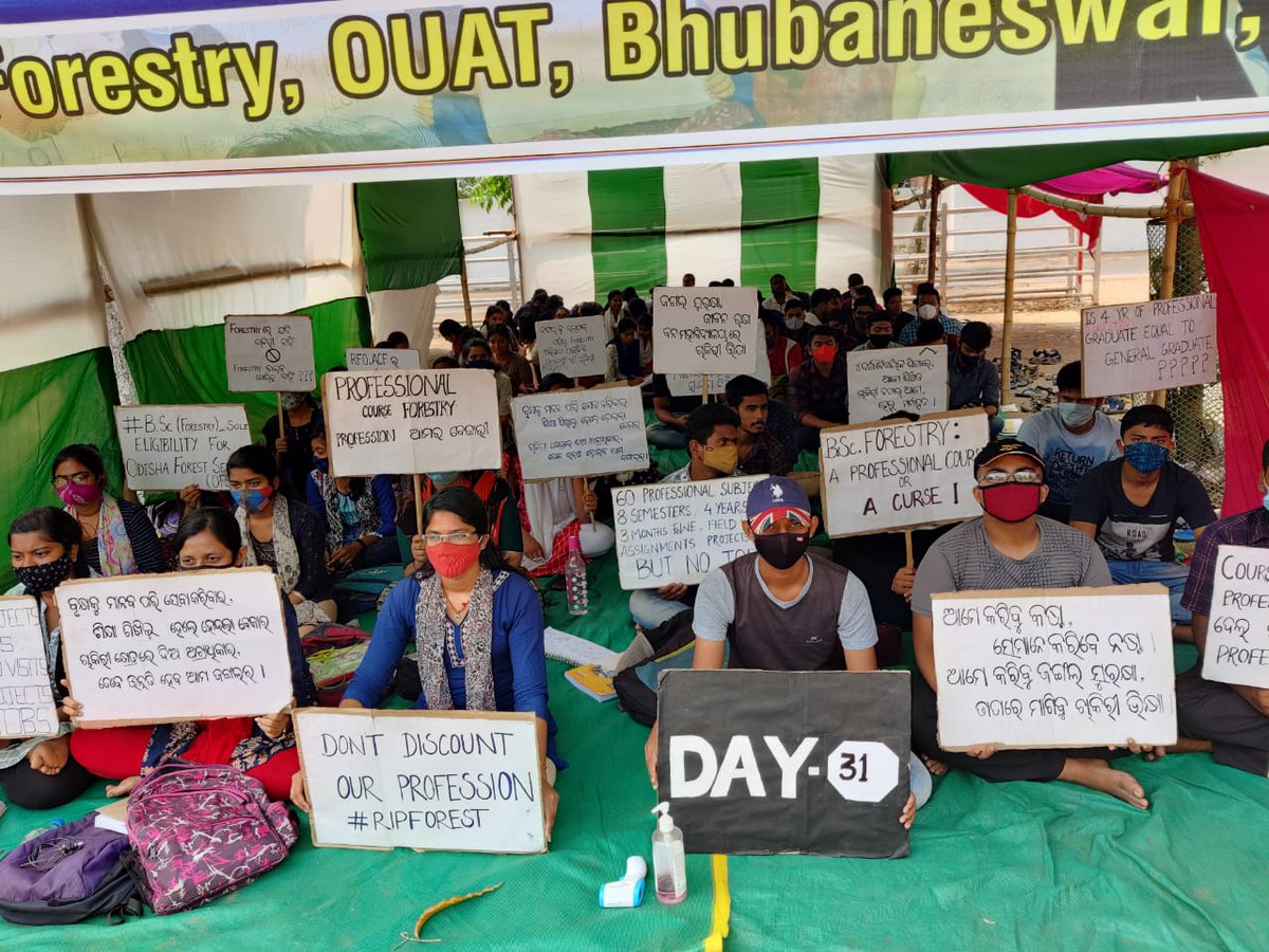 SRojalina's tweet photo. DAY-31
#BSc_Forestry_Sole_Eligibility_for_Odisha_State_Forest_Services
@Naveen_Odisha @CMO_Odisha @BKArukha @dr_arunsahoo @SecyChief @MoSarkar5T @PrakashJavdekar @sandeepifs @ForestDeptt @pccfodisha @ifs_odisha https://t.co/9pFJMjmTls