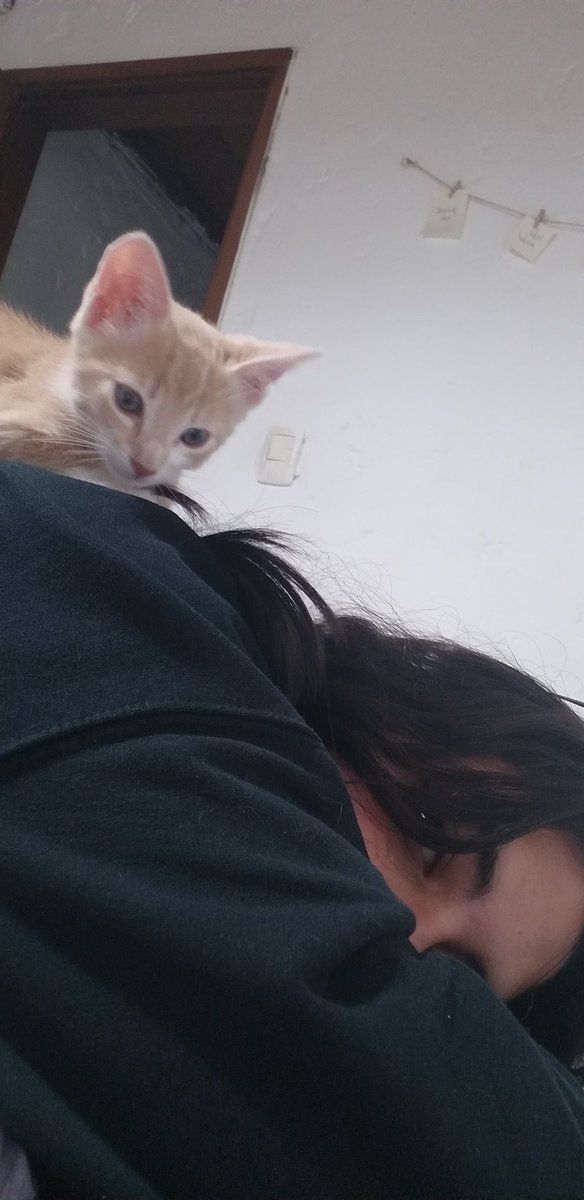 guidasosa's tweet photo. no paro de llorar, me duele el alma, lo extraño https://t.co/q9cjL76ZNG
