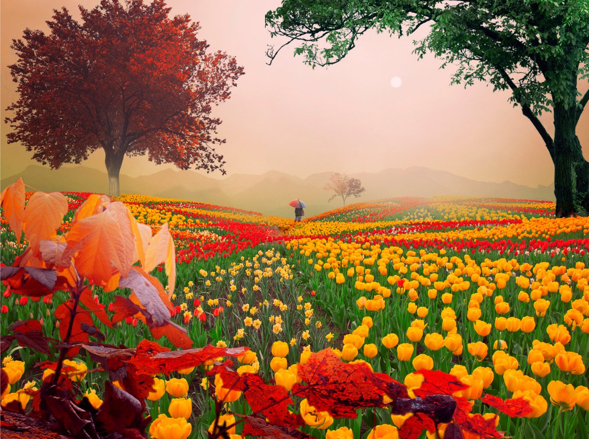 gauthie74757302's tweet photo. Good morning, happy Wednesday to all, enjoy a wonderful day 🌷💛💐❤️🤗 https://t.co/rWqYjDJIdt