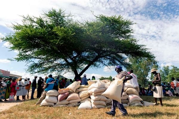 NationAfrica's tweet photo. Kennedy Chesoli: How First World starves Africa

FAO has in that past questioned Africa's addiction to imported food and agricultural products. https://t.co/zQfFDQOYjo https://t.co/9n9CelQOoe