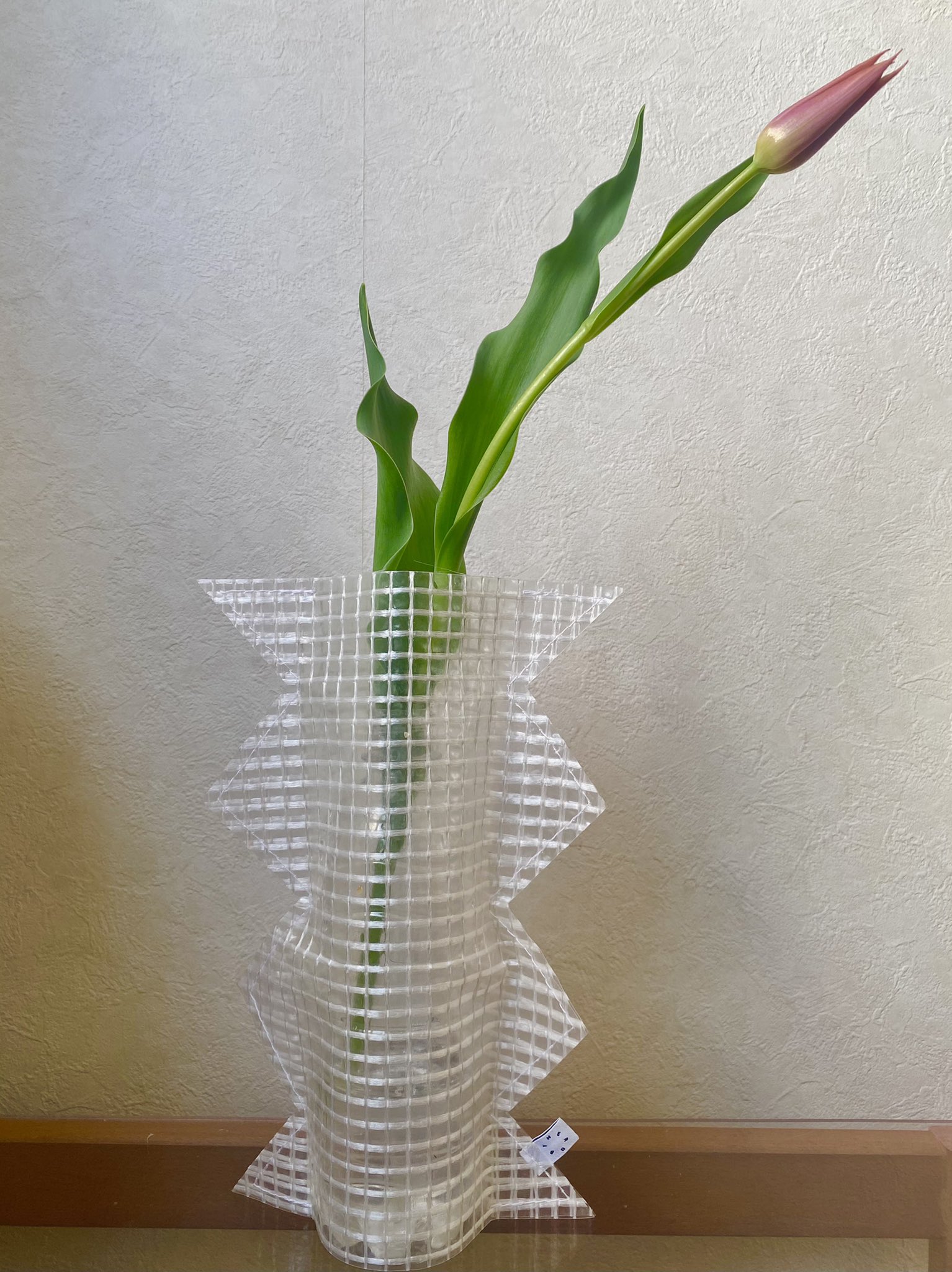 碓井菜央 Usui Nao 胡蝶蘭ととんがりチューリップ チューリップの花瓶は Herbby T Co Il2iurmmud 生産過程で未使用となった生地から産まれたハンドメイドの花瓶 使わない時は畳んでしまえる優れもの お値段お手頃 デザインも可愛いのでオススメ