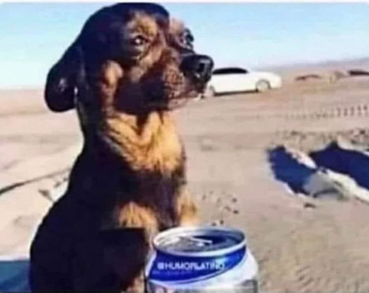 SetbullI's tweet photo. Watching market fall right after I squared up my short position after just 27 points. 😭

#banknifty https://t.co/FAxYU4k7F4