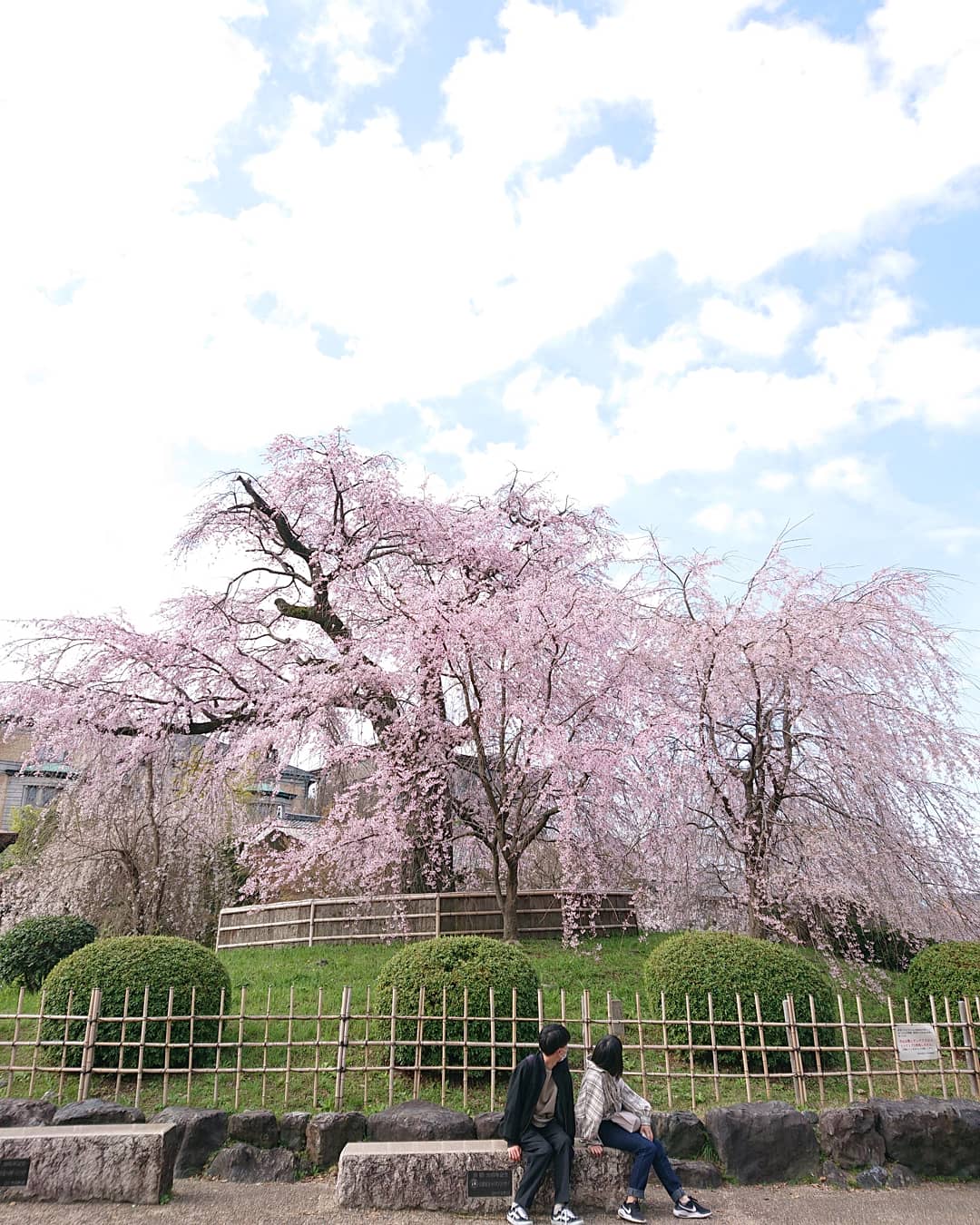 京の宿en Kyonoyado En Kyonoyado Twitter