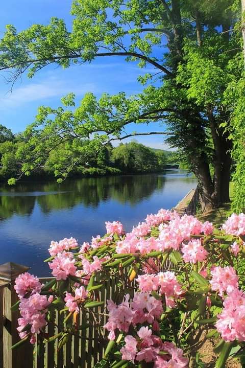 TahaAnis7's tweet photo. Goodmorning Wednesday🌺💚🍀💙💜💗💫☕😊💕🙏 https://t.co/j21QDjXhnN