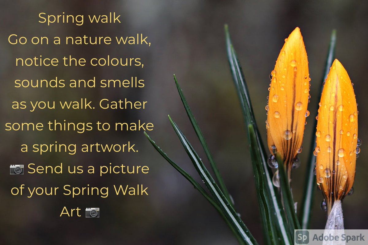Here’s a wee idea to put a spring in your step! Being out in nature can improve your mindset, take some time to look about you.