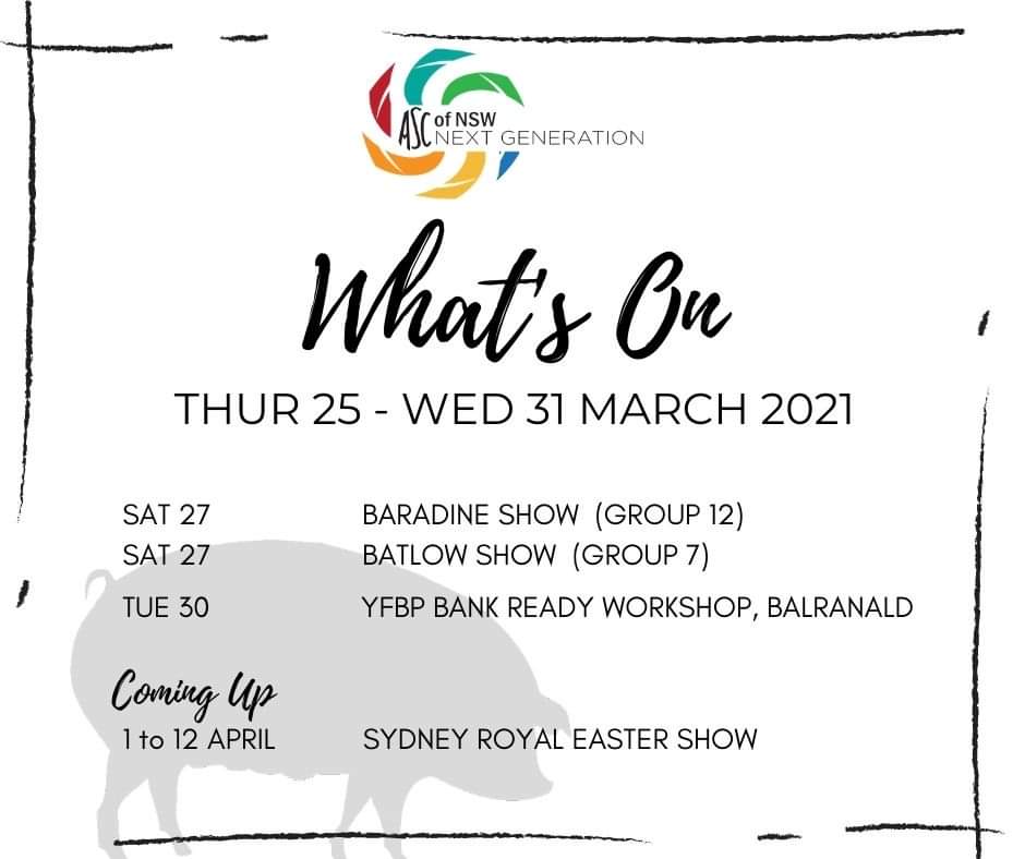 NSWASCNextGen's tweet photo. There's two shows this Saturday! Head along to Baradine Show Society or Batlow Show. 🎡 @AgShowsAus #WhatsOn 
The @YoungFarmerBP has a Bank Ready workshop on Tuesday at Homebush Hotel, Balranald. 
And it just one week until the @eastershow! 🥳 #ASCNextGen #BestinShow #YouthinAg https://t.co/qETrLY7rpI