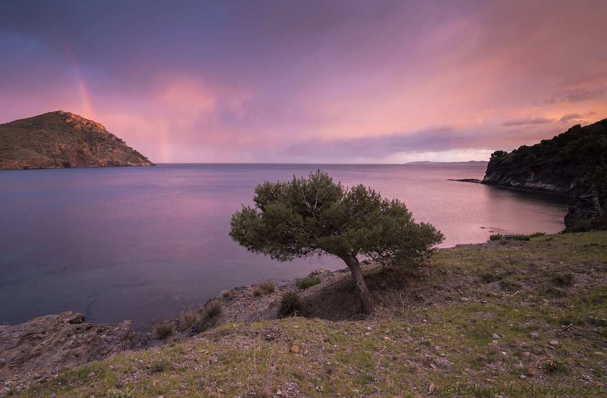 EduardMarquesM's tweet photo. T'agradaria veure des de #norfeu i fins al #montgri un parc eòlic amb molins de 250 metres? Això vol dir 100 metres més alt que norfeu!!! @AjRoses @VisitRoses @ViladeRoses @NOalPE_Galatea https://t.co/bjlc5tAlUw