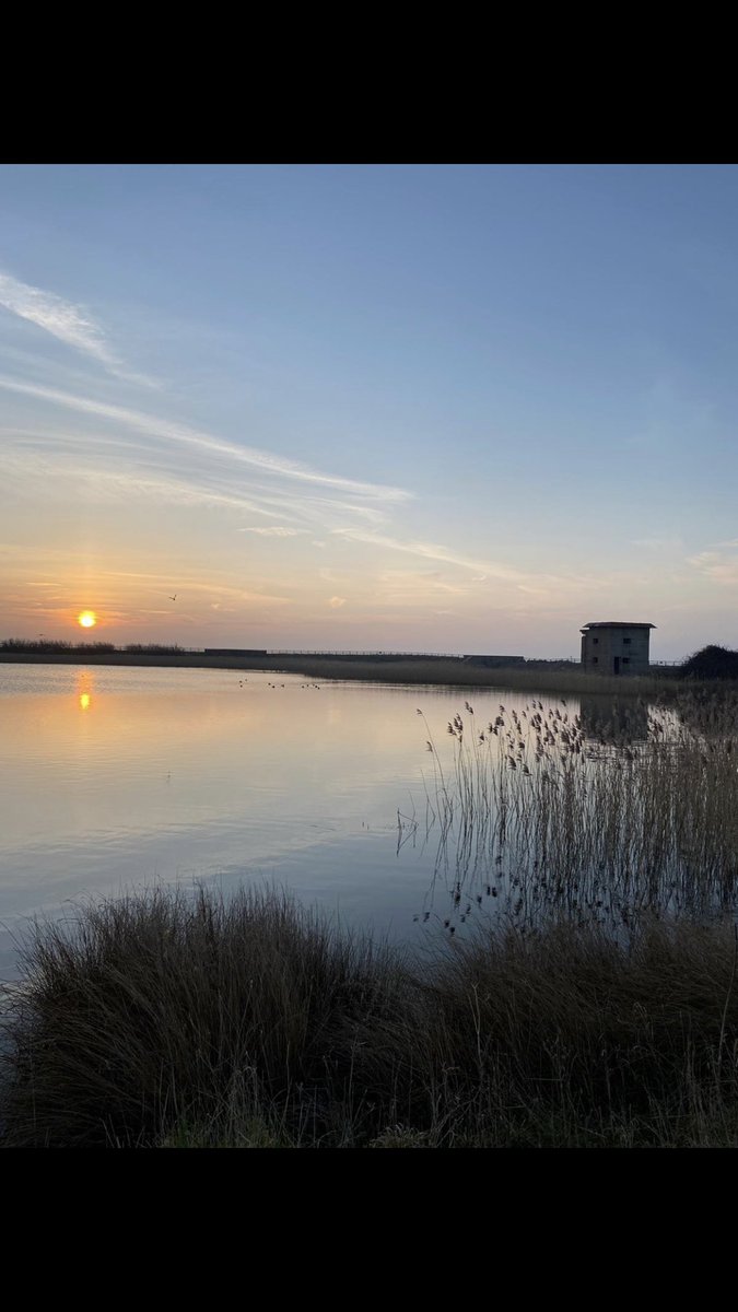 Beautiful morning in Bawdsey today