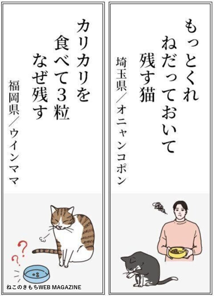 【猫あるある川柳】

★ごはん・食事部門★
「今食べた 高級ご飯も 吐き戻す」 ほか

★健康・お世話部門★
「いいうんち ニヤニヤしながら とる私」 ほか

▼全8選の受賞作品や、投稿者さんの裏話・解説はこちらから!
https://t.co/ZbRBcFBpkt 