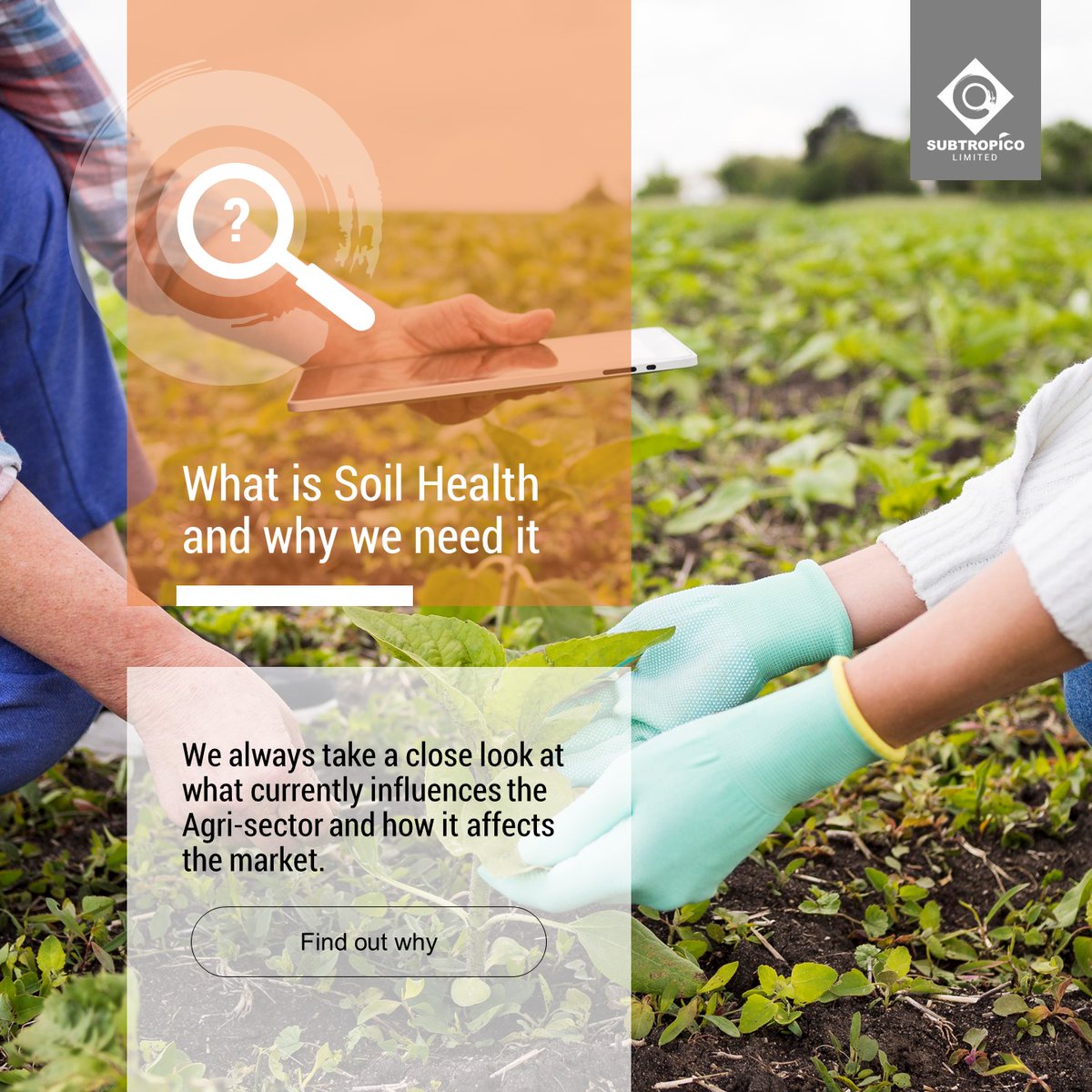 SubtropicoL's tweet photo. #freshproduce #BIG5 #ourfarmers #foodsecurity #AgriTech #intelligentfarming 
.
.
https://t.co/G3fxcYM22G https://t.co/1Eni1ra5B5