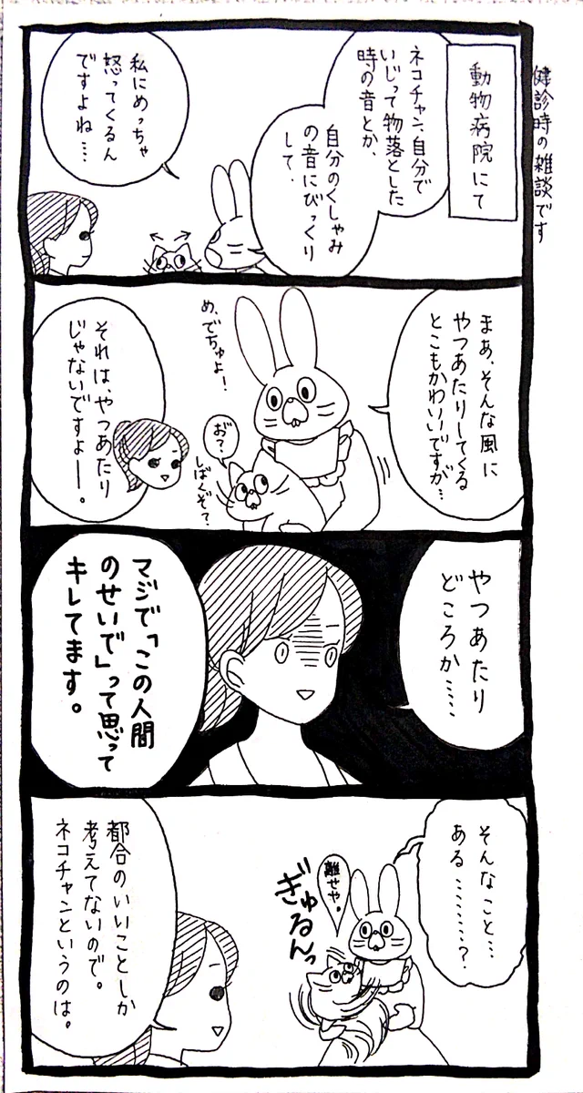 人間からすれば理不尽極まりない？www大きな音を聞いて近くの人間にキレる猫の心理www