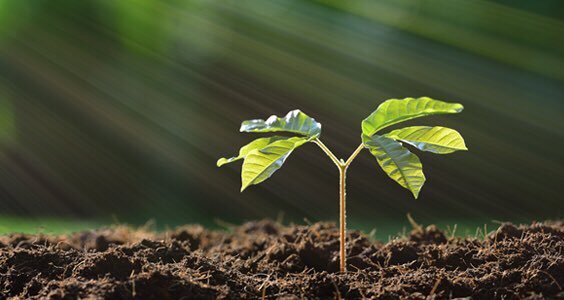 For some #Spring is in the air, #getoutdoors #inspiration the buds are bursting out all over and if you are planning to get out in the #garden this week - be sure to stock up on the soil necessities! We have everything you need ... #plants #pots #compost #bark