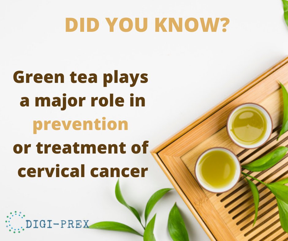 DigiPrexOnline's tweet photo. Green tea plays a major role in the prevention or treatment of cervical cancer. This therapeutic herb has several active compounds, which restrict the energy supply to cancer cells. 
#digiprex #healthcare #health #cancer #cancerprevention https://t.co/4HYGqARcbl