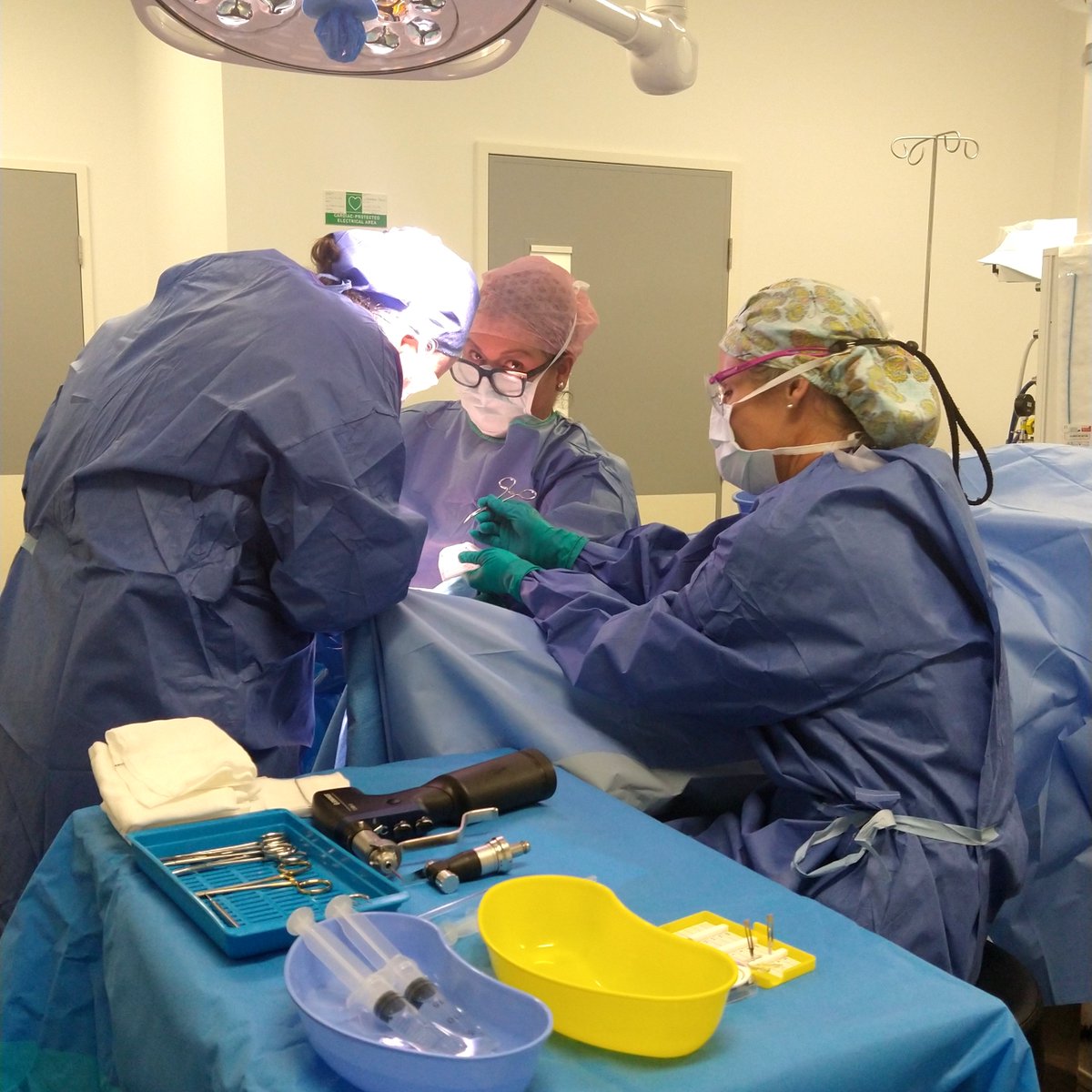 PodSurgeons's tweet photo. Check out our article: "Women in Surgery" in the latest  STRIDE magazine, free to members of the ApodA https://t.co/Dih6pIM798. Thank you to our authors Dr Leah Cook, Dr Simon Smith, Ms Emilia Bran and with contribution from Dr Lee Gray. https://t.co/toq8wX4zZ3