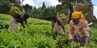 PeterMunya tweet picture