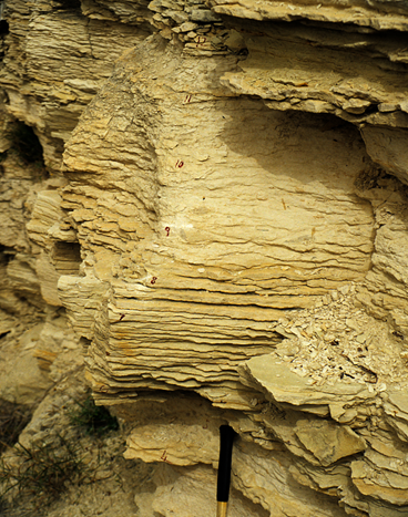 Seds_Online's tweet photo. Today at 4 pm Dorrik Stow will present 'The Contourite-Turbidite Controversy after 50 years':
https://t.co/i7LLuqAPCt https://t.co/zaU65HXw0W