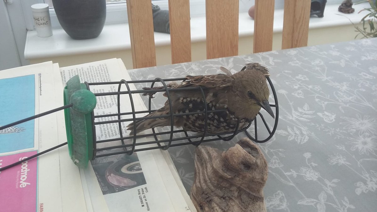 CumbriaWildlifeTrust tweet media