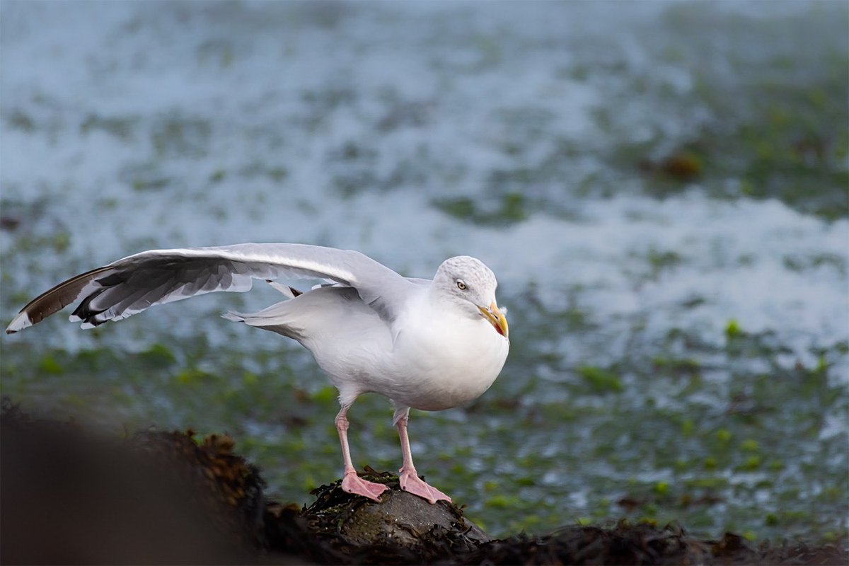 Sophia Mook tweet media